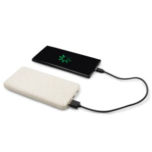 Powerbank "Blendara"